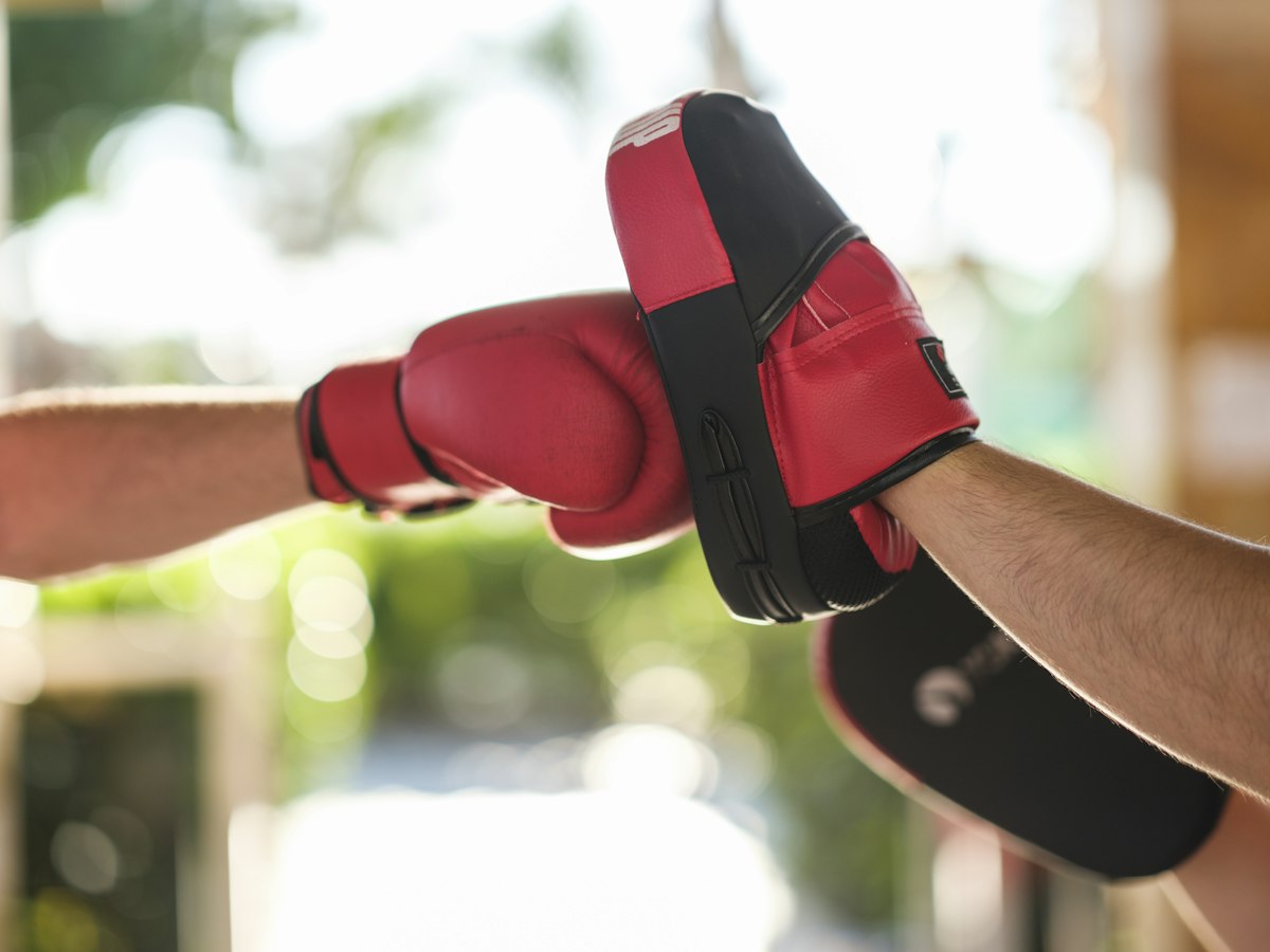MMA Training Gloves