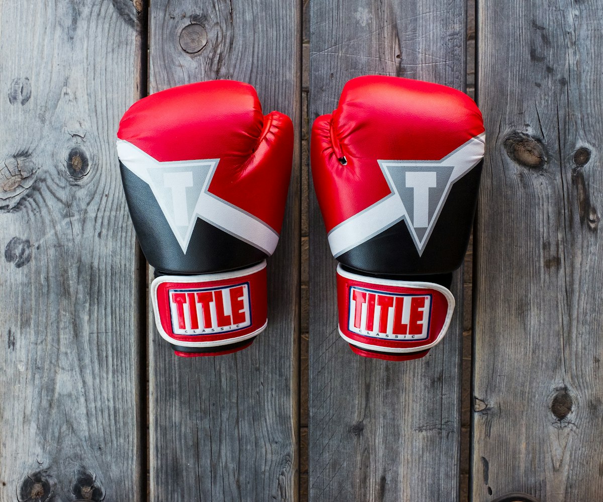 Training & Sparring Gloves